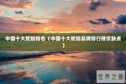 中国十大轮胎排名（中国十大轮胎品牌排行榜优缺点）