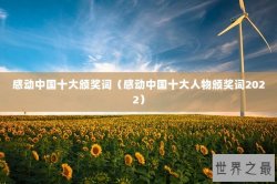 感动中国十大颁奖词（感动中国十大人物颁奖词2022）