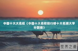 中国十大大名校（中国十大名校排行榜十大名牌大学分数线）