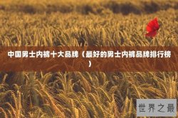中国男士内裤十大品牌（最好的男士内裤品牌排行榜）