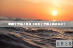 中国十大电子商务（中国十大电子商务网站）