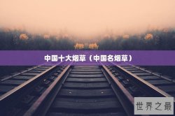 中国十大烟草（中国名烟草）