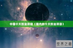 中国十大创业项目（国内的十大创业项目）