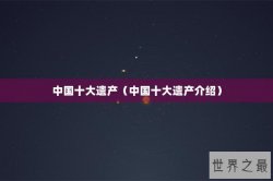 中国十大遗产（中国十大遗产介绍）