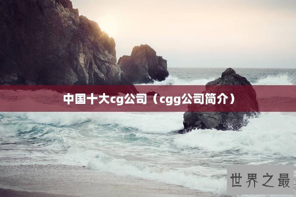 中国十大cg公司（cgg公司简介）