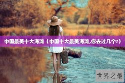中国最美十大海滩（中国十大最美海滩,你去过几个?）
