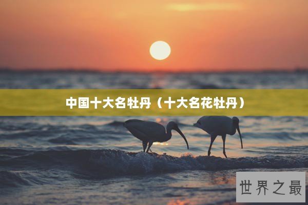 中国十大名牡丹（十大名花牡丹）