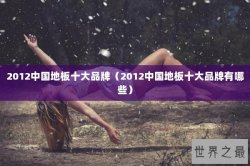 2012中国地板十大品牌（2012中国地板十大品牌有哪些）