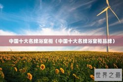 中国十大名牌浴室柜（中国十大名牌浴室柜品牌）
