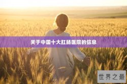 关于中国十大肛肠医院的信息