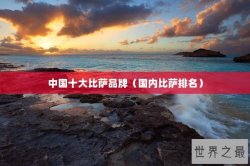 中国十大比萨品牌（国内比萨排名）