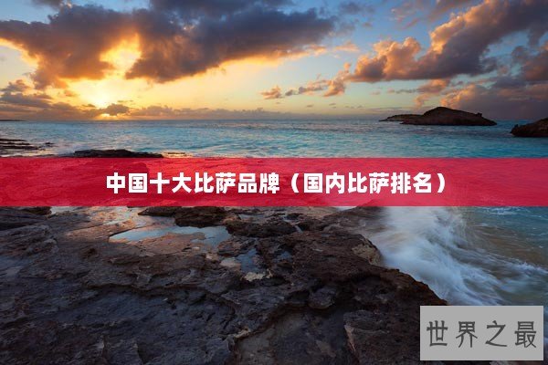 中国十大比萨品牌（国内比萨排名）