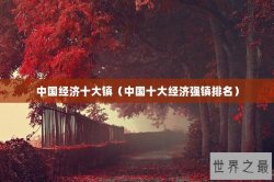 中国经济十大镇（中国十大经济强镇排名）