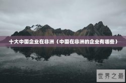 十大中国企业在非洲（中国在非洲的企业有哪些）