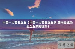 中国十大著名企业（中国十大著名企业家,国内最成功的企业家刘强东）