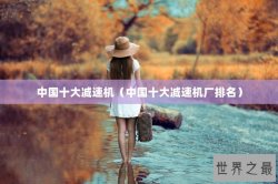 中国十大减速机（中国十大减速机厂排名）