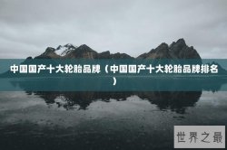 中国国产十大轮胎品牌（中国国产十大轮胎品牌排名）