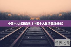 中国十大轮滑品牌（中国十大轮滑品牌排名）