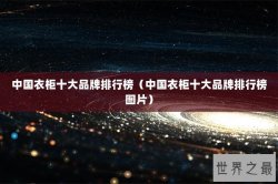 中国衣柜十大品牌排行榜（中国衣柜十大品牌排行榜图片）