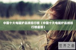 中国十大电磁炉品牌排行榜（中国十大电磁炉品牌排行榜最新）