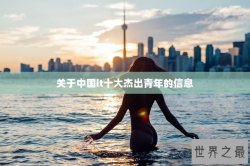 关于中国it十大杰出青年的信息