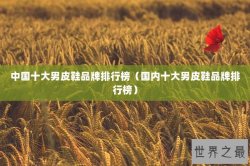 中国十大男皮鞋品牌排行榜（国内十大男皮鞋品牌排行榜）