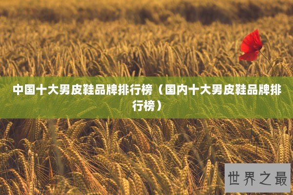 中国十大男皮鞋品牌排行榜（国内十大男皮鞋品牌排行榜）