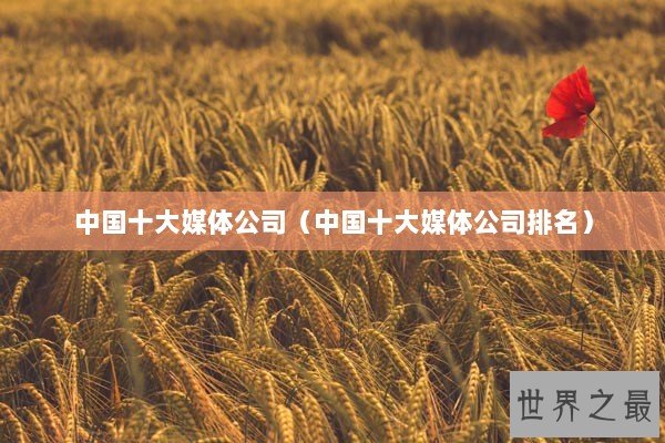 中国十大媒体公司（中国十大媒体公司排名）