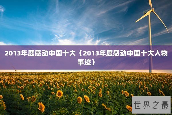 2013年度感动中国十大（2013年度感动中国十大人物事迹）