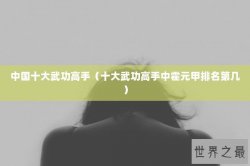 中国十大武功高手（十大武功高手中霍元甲排名第几）