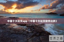 中国十大社交app（中国十大社交软件比例）