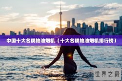 中国十大名牌抽油烟机（十大名牌抽油烟机排行榜）