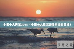 中国十大男装2015（中国十大男装奢侈有哪些品牌）