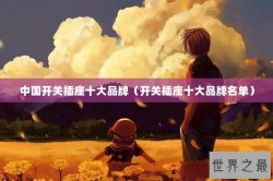 中国开关插座十大品牌（开关插座十大品牌名单）