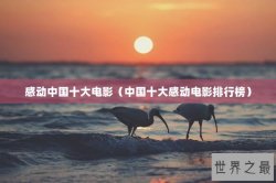 感动中国十大电影（中国十大感动电影排行榜）