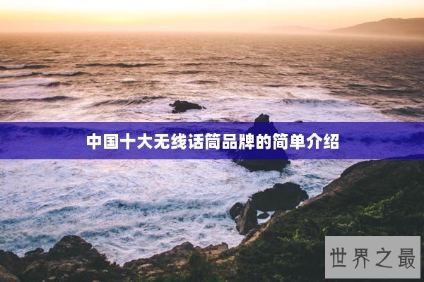 中国十大无线话筒品牌的简单介绍