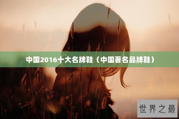 中国2016十大名牌鞋（中国著名品牌鞋）