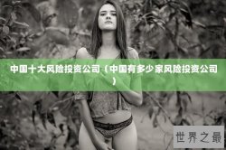 中国十大风险投资公司（中国有多少家风险投资公司）