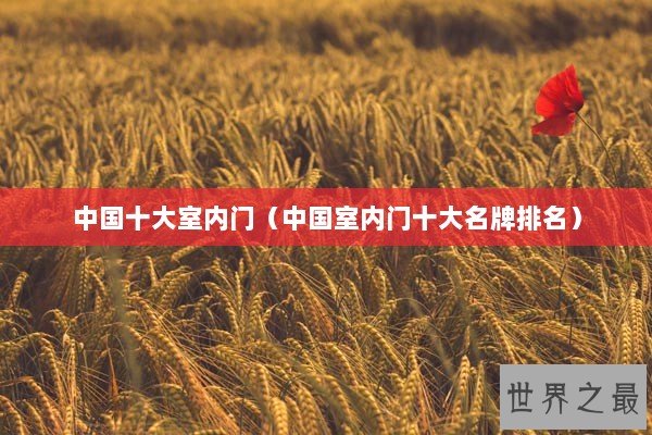 中国十大室内门（中国室内门十大名牌排名）