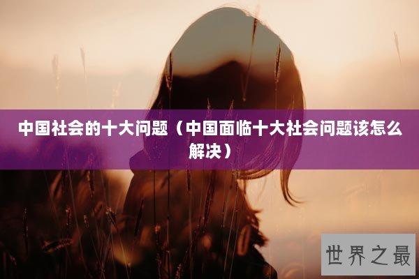 中国社会的十大问题（中国面临十大社会问题该怎么解决）
