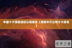 中国十大保险经纪公司排名（保险中介公司十大排名）