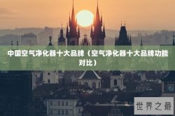 中国空气净化器十大品牌（空气净化器十大品牌功能对比）