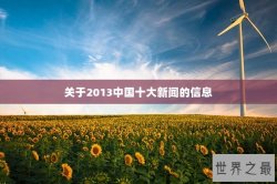 关于2013中国十大新闻的信息