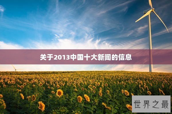 关于2013中国十大新闻的信息