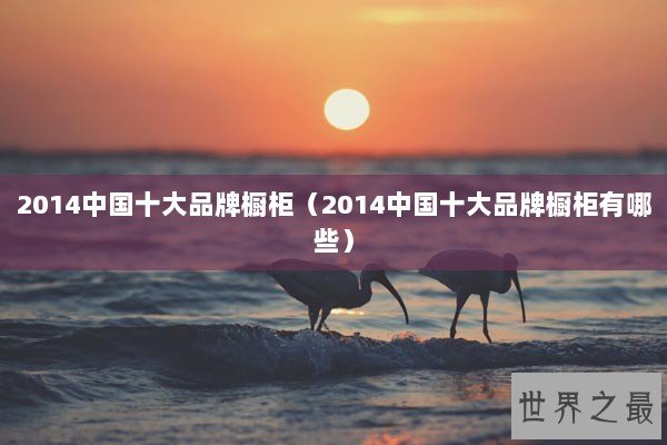 2014中国十大品牌橱柜（2014中国十大品牌橱柜有哪些）