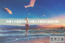 中国十大暴富行业（中国十大暴富行业排行榜）