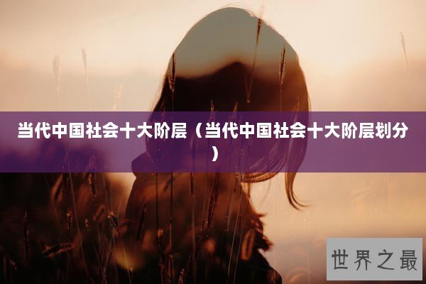 当代中国社会十大阶层（当代中国社会十大阶层划分）