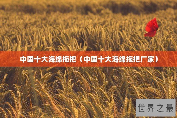 中国十大海绵拖把（中国十大海绵拖把厂家）