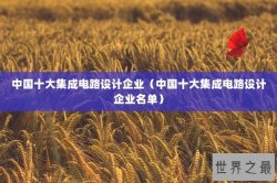 中国十大集成电路设计企业（中国十大集成电路设计企业名单）