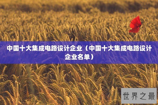 中国十大集成电路设计企业（中国十大集成电路设计企业名单）